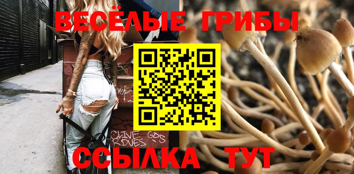 Псилоцибиновые грибы MAGIC MUSHROOMS Самара