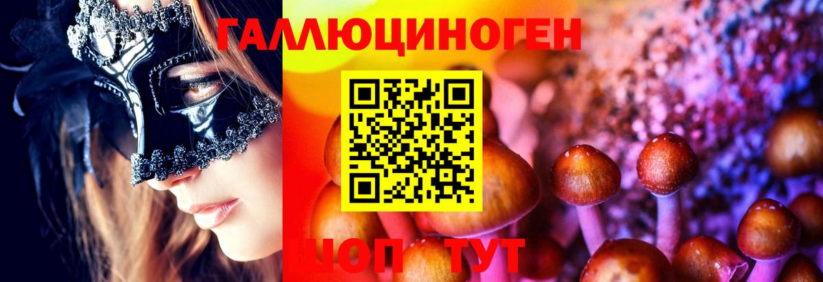 Самара  Псилоцибиновые грибы Psilocybine cubensis  Вход с VPN 